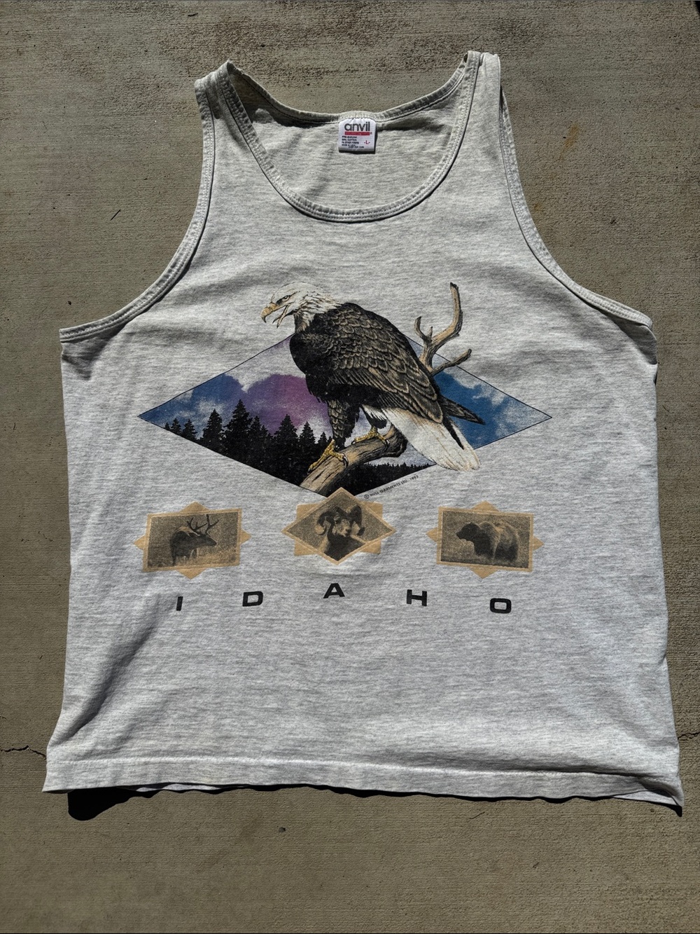 Vintage 93 Idaho Anvil Light Gray Nature Graphic Tank Top